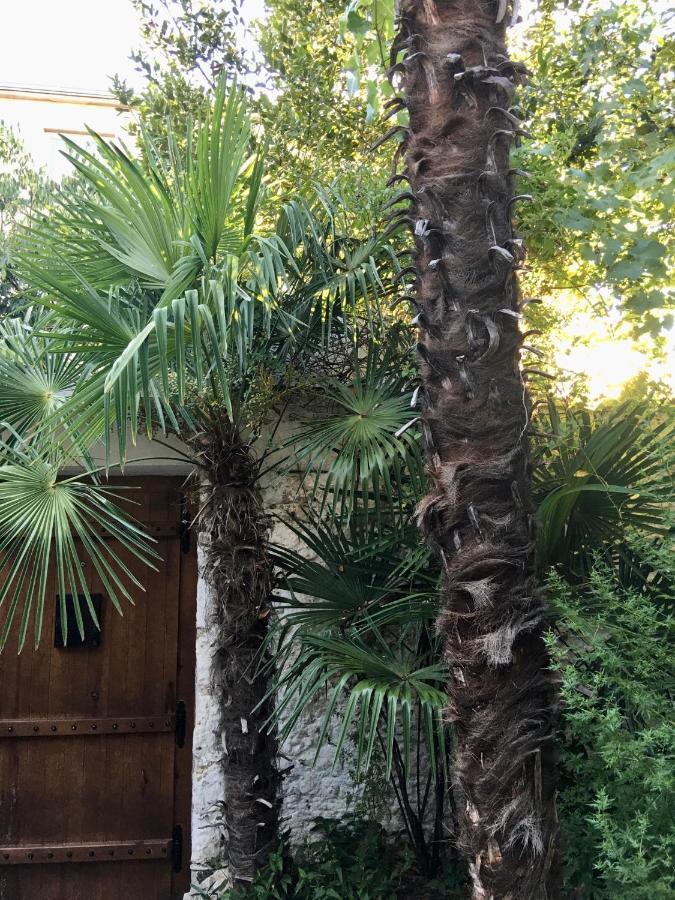 Palmera Mostar Kültér fotó