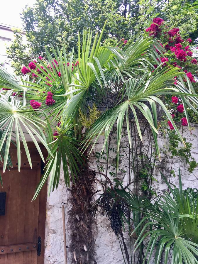 Palmera Mostar Kültér fotó