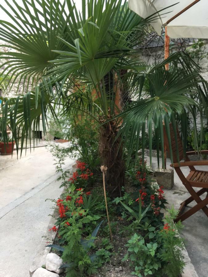 Palmera Mostar Kültér fotó