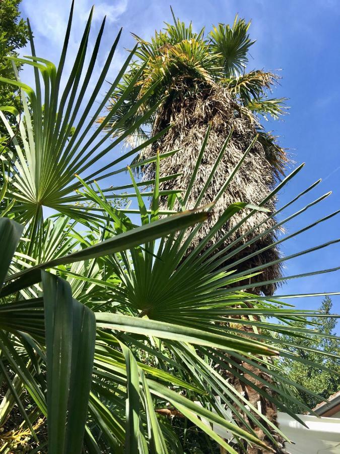 Palmera Mostar Kültér fotó