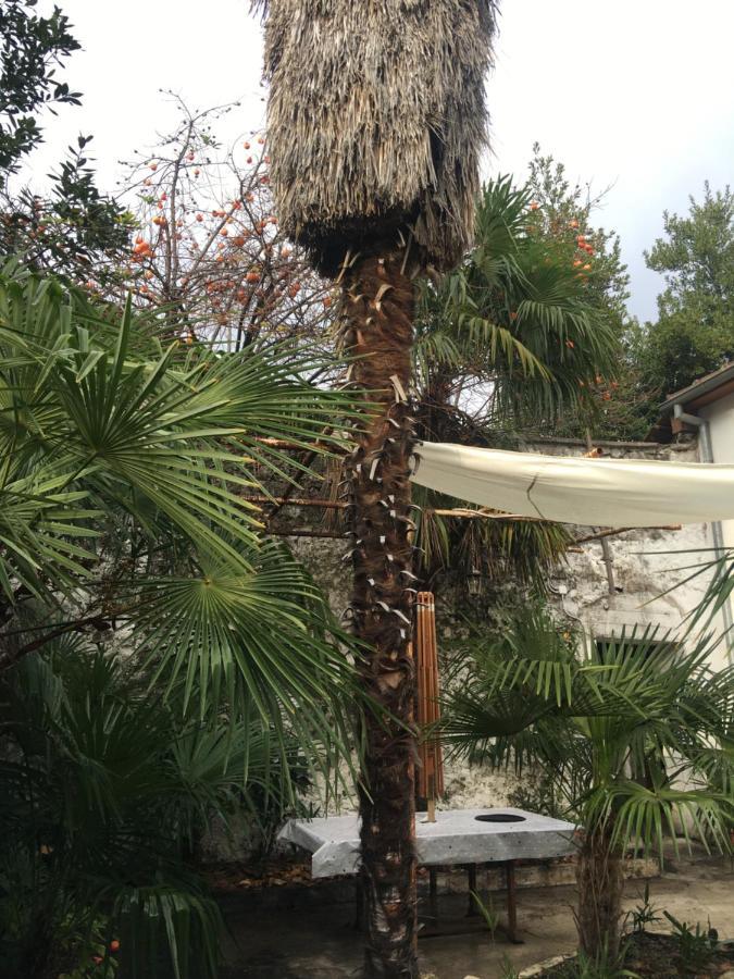 Palmera Mostar Kültér fotó