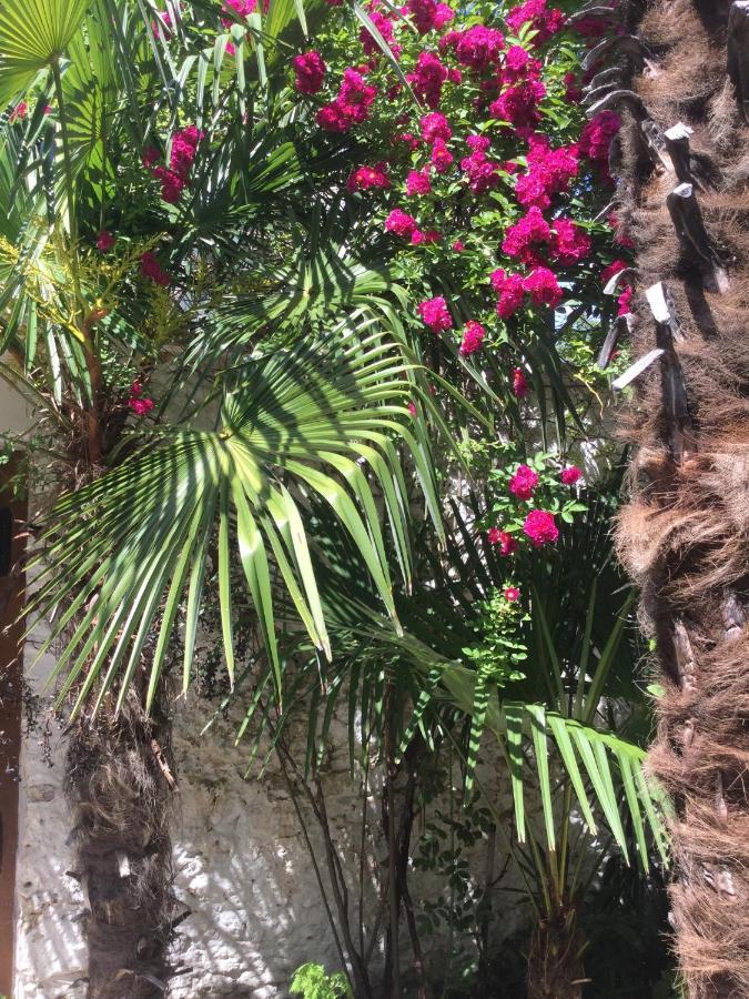 Palmera Mostar Kültér fotó